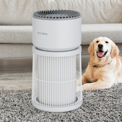 comprar Venda Quente Pet Use Purificador de Ar para Casa Alergias Animais de estimação cabelo no quarto Fabricação em linha